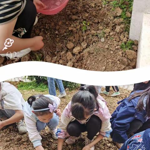 劳动展风采  别样庆六一