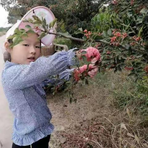 劳动知感恩  劳动最光荣一一一路井镇中心小学二年级二班劳动小明星邓艺媛