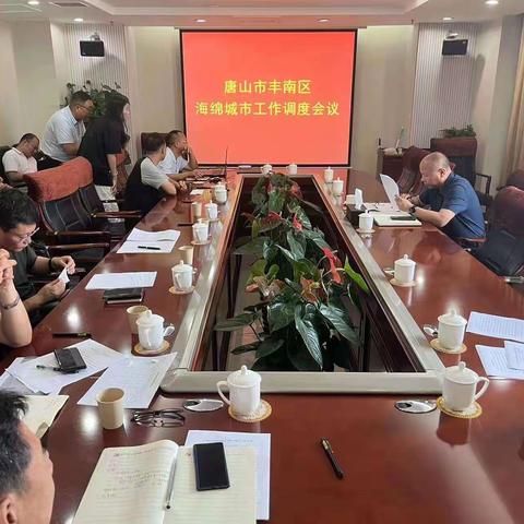 丰南区海绵城市工作调度会