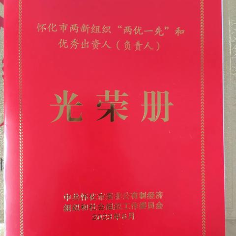 怀化市召开“两新”组织“两优一先”表彰大会