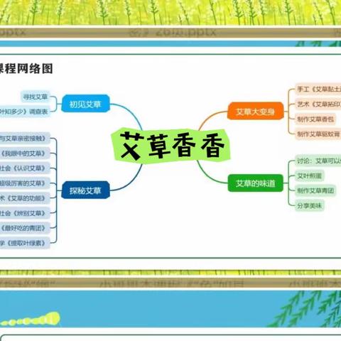 大班《探秘春天》主题衍生课程实践经验