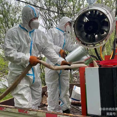 “预防为主 综合防治”森防站开展夏季病虫害防治工作