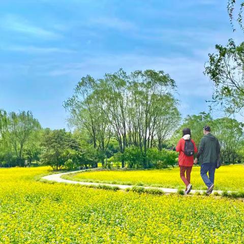 北坞公园初夏