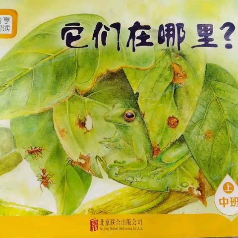 中班上册分享阅读《它们在哪里？》