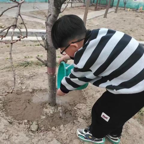 绿动未来 童心共植