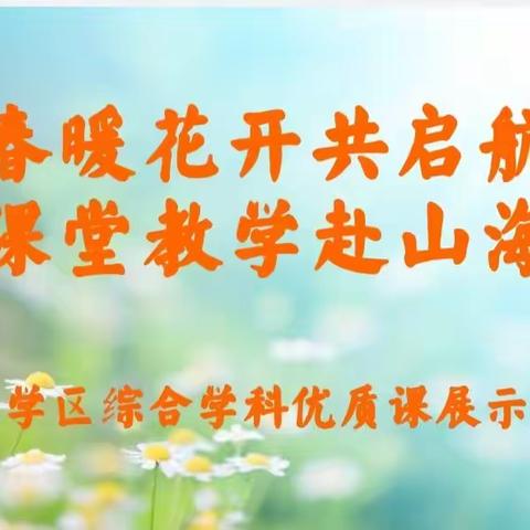 春暖花开共启航，课堂教学赴山海——中韩学区综合学科优质课展示活动