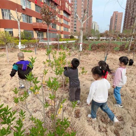 鱼邱湖街道中心幼儿园东兴路分园小一班课程故事——《“幼”见花开》