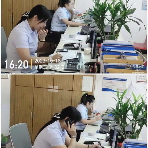 丽星景园2023年10月份工作总结与2023年11月份工作计划。