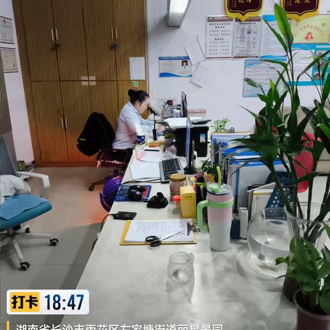 丽星景园2024年11月份工作总结与2024年12月份工作计划。