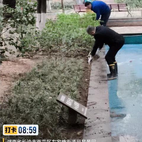 随着春天的到来，本月，我们围绕“温馨服务，共创和谐”的宗旨，为业主们提了全方位、高效的物业服务。