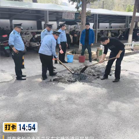 丽星景园的简篇