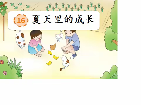 我与教研同成长----记《夏天里的成长》教研活动