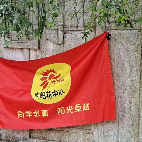 步行出发，游汤公园——梅溪小学105班冬季游学活动