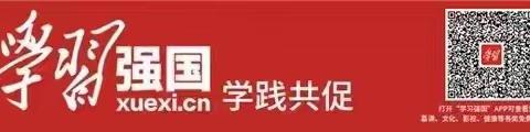 城市管理局直属中队党支部开展“学习强国”经验交流会