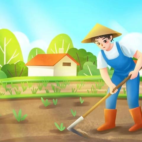 “学农实践结硕果，劳动教育促成长”——兴业县沙塘镇福隆小学学农实践活动