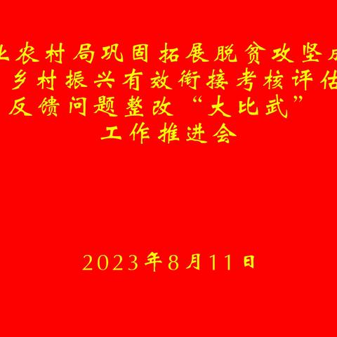 农业农村局巩固拓展脱贫攻坚成果同乡村振兴有效衔接考核评估反馈问题整改“大比武”工作推进会