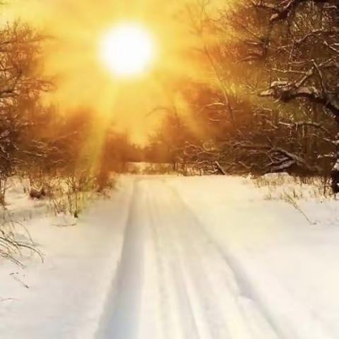 莫道冬阳灿，最美是“青蓝”                             ——关于以《海滨小城》课例为研究对象的“教”与“研”