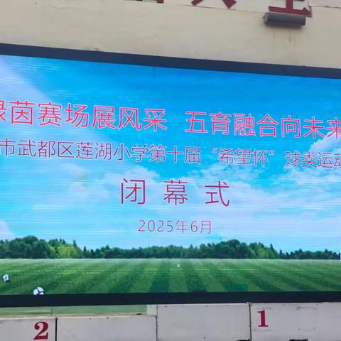 绿茵赛场展风采 五育融合向未来——武都区莲湖小学五（8）班第十届“希望杯”球类运动会剪影