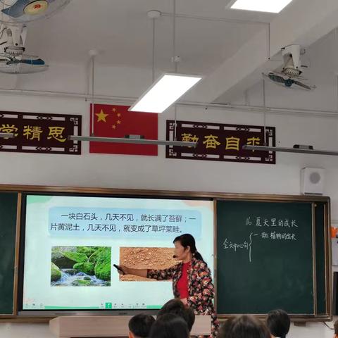 新田镇中心小学参城校区第十一周语文公开课