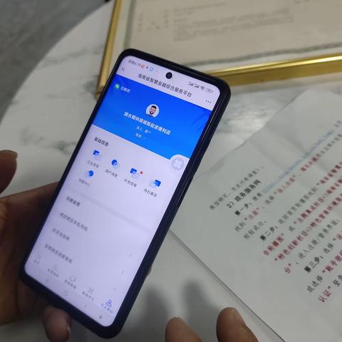 为了落实椰林镇政府要求开展便民服务、智慧金融综合平台工作，