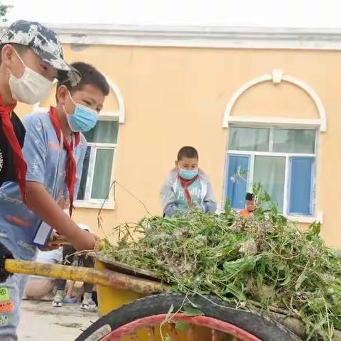 劳动创造美好生活——恰夏镇中心学校劳动教育系列活动