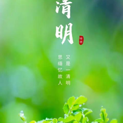 “缅怀革命先烈，传承廉洁精神”——东方市第九小学清明节祭扫烈士陵园主题党、队日活动