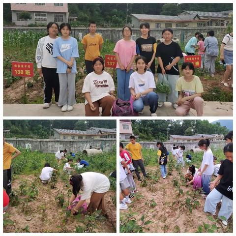 劳动实践，助力“双减” ——赵家岗土家族乡中学劳动基地