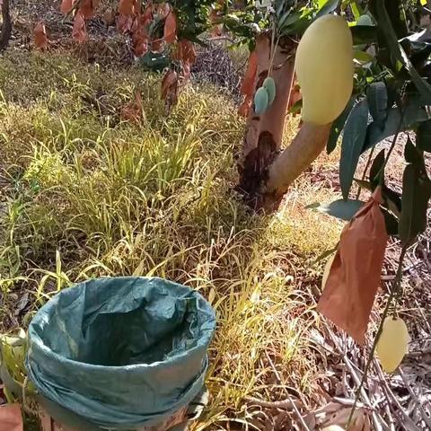 美友7753048的简篇