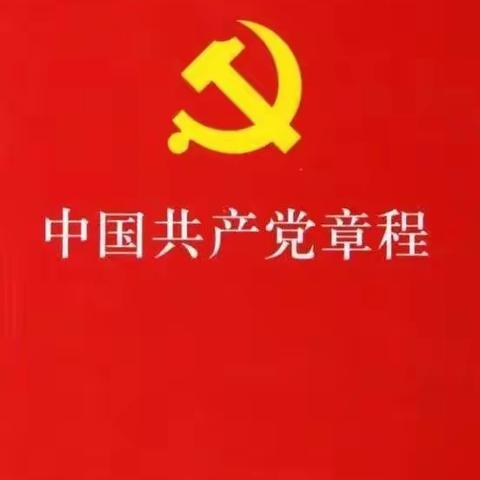 兴华路小学党支部开展《党章》专题学习教育活动