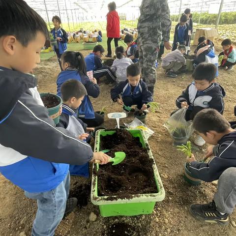 传承红色文化，探秘农耕文明——中南小学2206班2023年秋季研学活动记录（二）