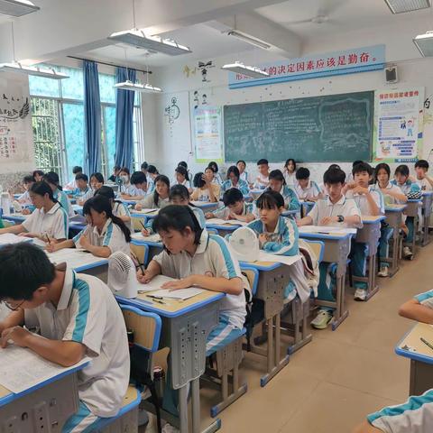 “乡镇中学中学议论文有效课堂教学”公开课展示