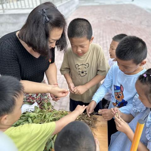 南台小学“约会秋天，收获幸福”主题党日党员志愿者活动暨采花生劳动实践