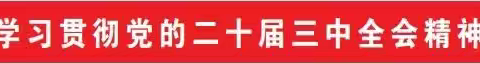 美兰区新埠街道召开党工委（扩大）会议学习贯彻党的二十届三中全会精神