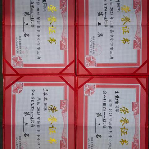 喜报—长直中心校田径团体闪耀2025年县运会，斩获参赛以来最好成绩