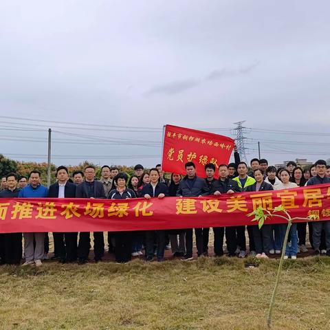 全面推进铜锣湖农场西岭绿美    建设美丽宜居西岭村   积极开展志愿服务植树活动