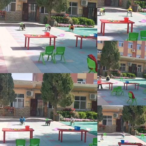 “五一”劳动小能手，技能大赛乐翻天——王庄镇睿源幼儿园