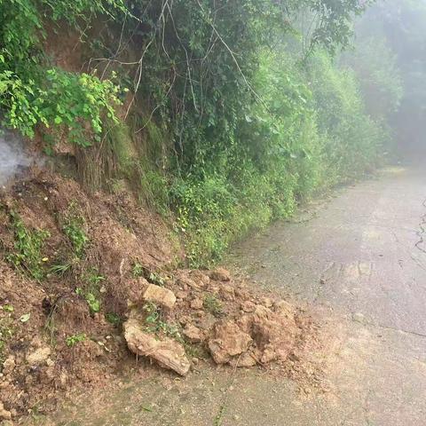 风雨无阻不停步，环境整治不松劲