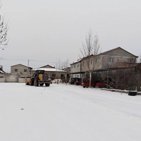 风雪满校园，扫雪护安全—振华学校扫雪行动