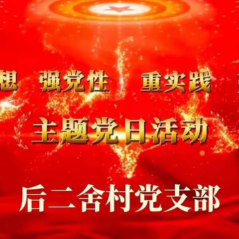 后二舍村党支部开展4月份主题党日活动➕阳光议事