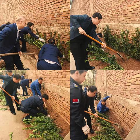 手植一株绿，心栽一片林：我们在行动
