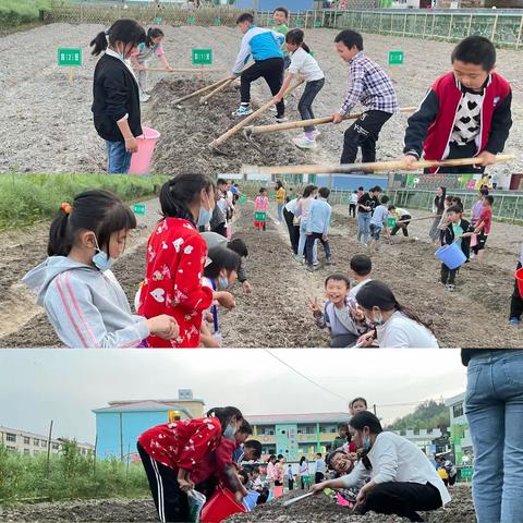 劳动最光荣—沙坪中心小学四1班劳动教育基地劳动实践活动纪实