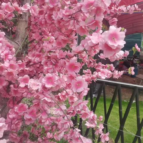 风雨兼程40载，余热生辉敬韶华一一地苏镇青水小学韦学年老师光荣退休