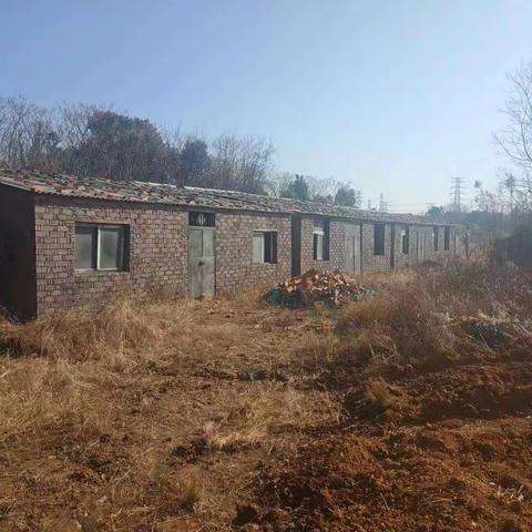 乱占耕地“零容忍”拆除违建在行动