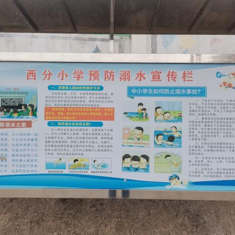 增强安全意识， 防范溺水风险。 ——西分小学防溺水活动