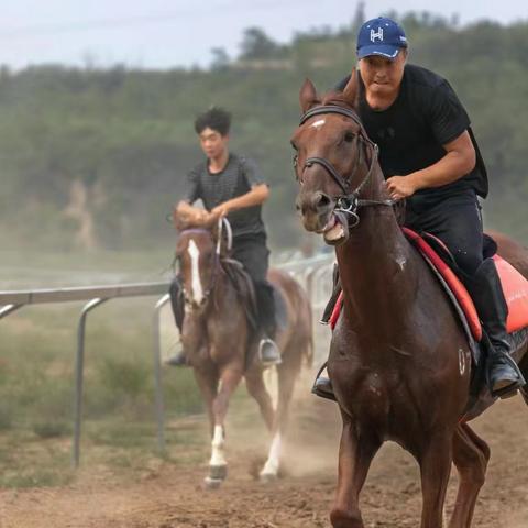 10月14日首届介休鑫易德马术俱乐部友谊赛