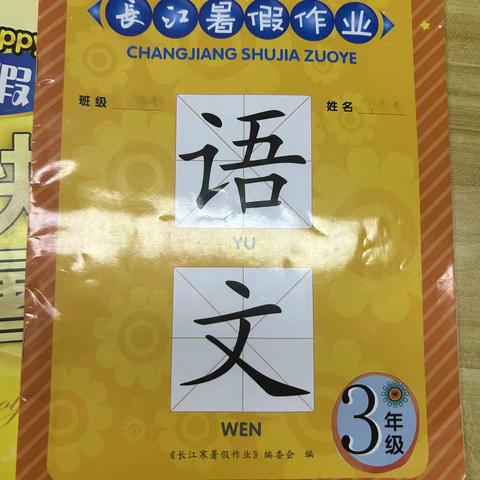 陶雨泽的暑假生活开始啦……