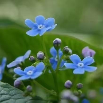 🌼潜心耕耘，静待花开🌼