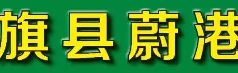 选择蔚港 拥抱希望 走向成功