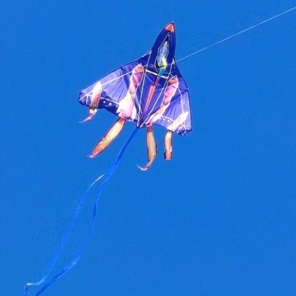 沐浴春光 放飞梦想——索伦牧场小学风筝活动纪实