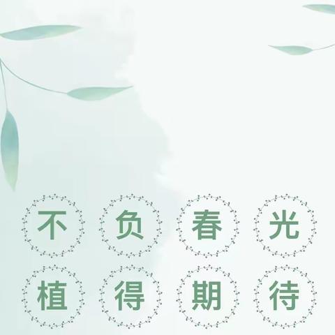 不负春光    “植”得期待  爱迪尔幼儿园植物角观摩活动